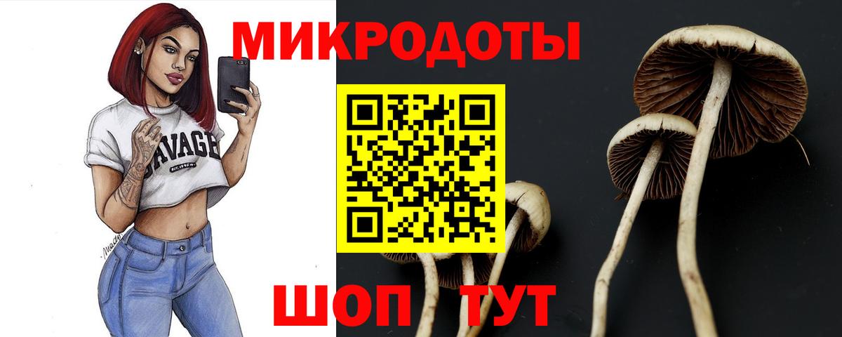 Псилоцибиновые грибы MAGIC MUSHROOMS Кирово-Чепецк