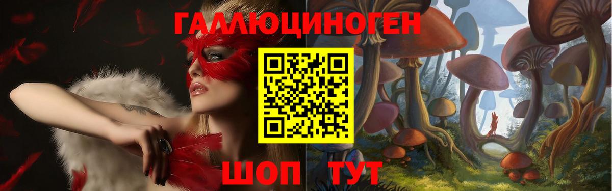 Псилоцибиновые грибы Psilocybine cubensis  Вход с VPN  Кирово-Чепецк 