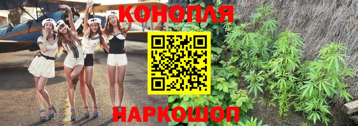 Канабис план Кирово-Чепецк